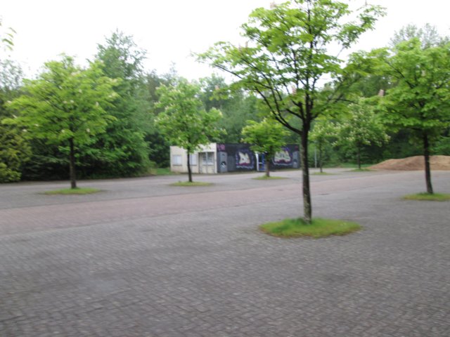 img_1505.jpg