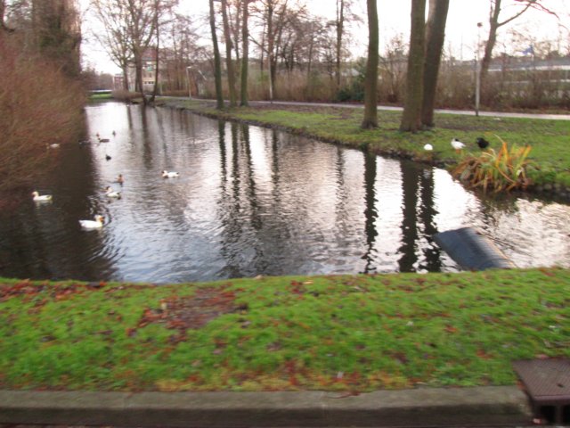 img_5918.jpg