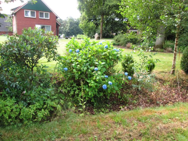 img_3420.jpg