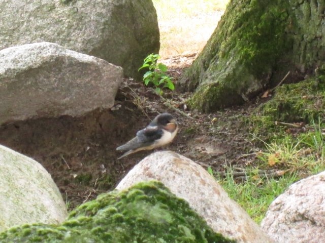 img_3424.jpg