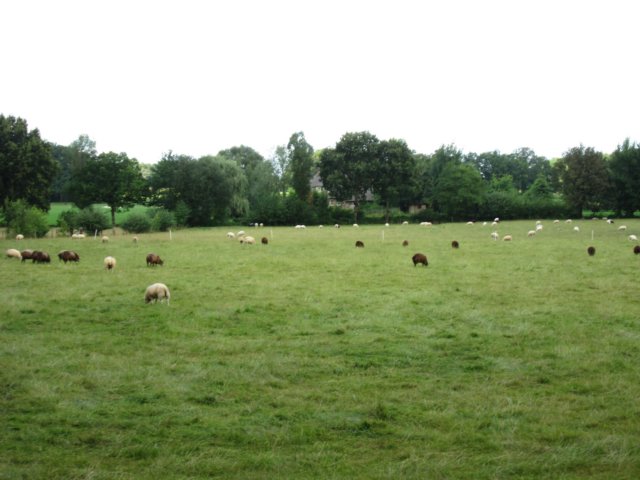 img_3460.jpg