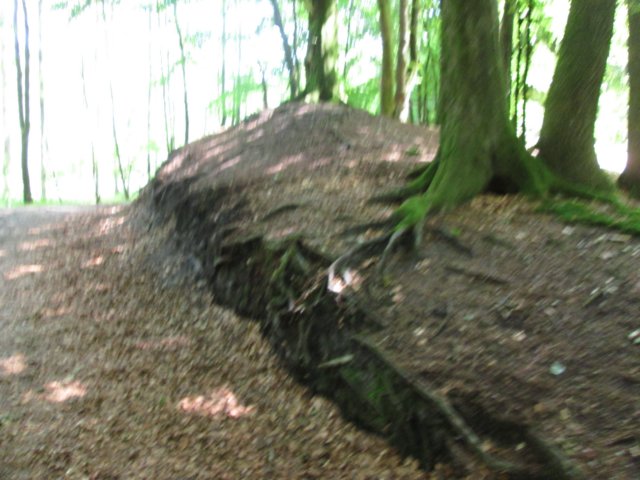 img_2187.jpg