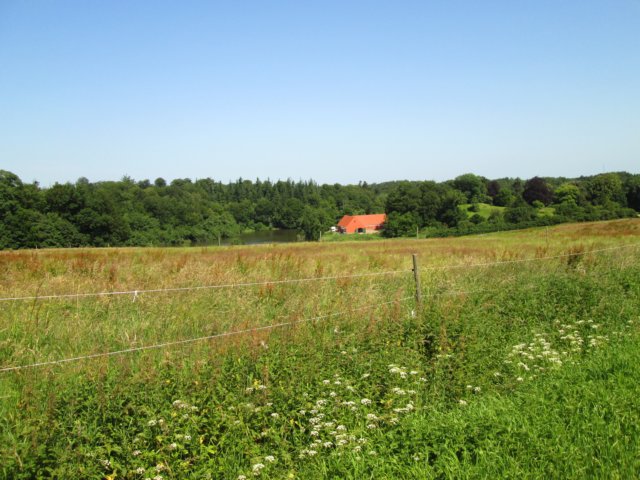img_2423.jpg