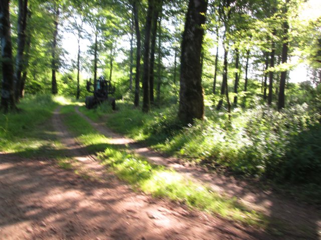 img_2494.jpg