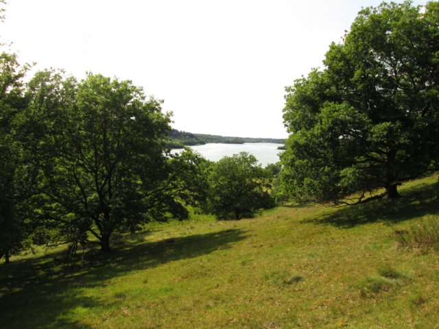 img_2779.jpg