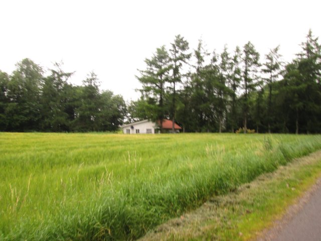 img_2943.jpg