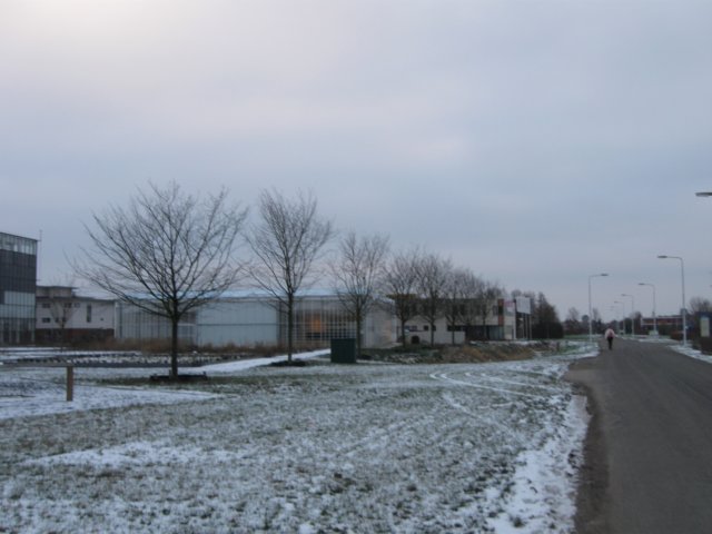img_8236.jpg