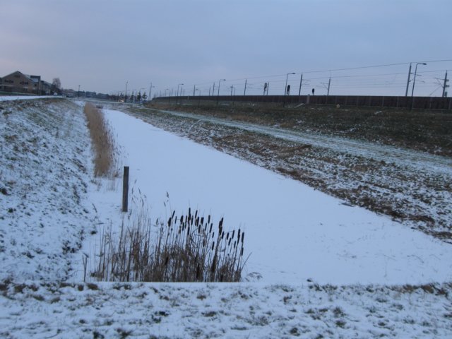 img_8240.jpg