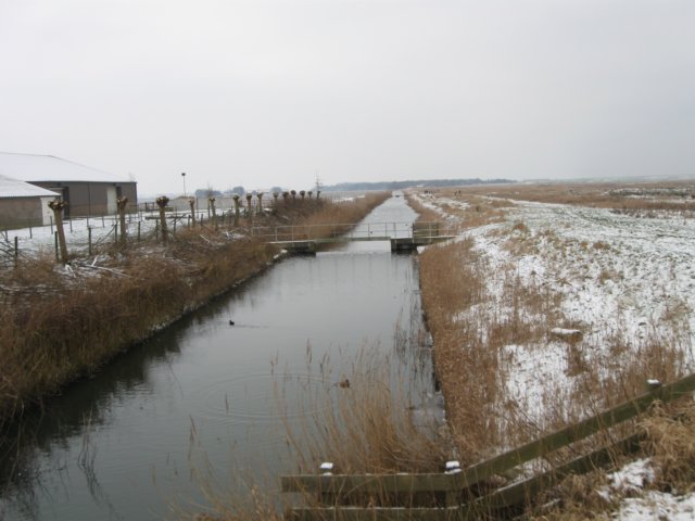 img_8250.jpg