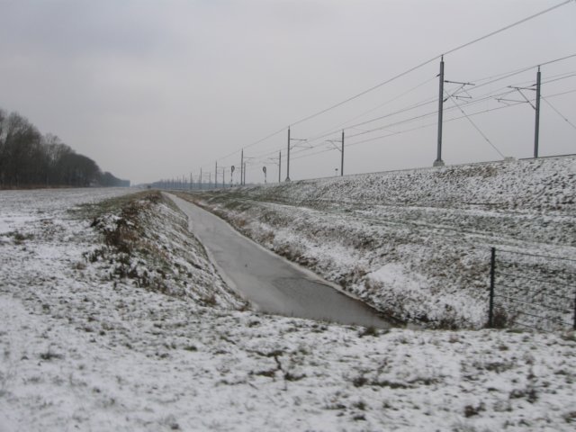 img_8286.jpg