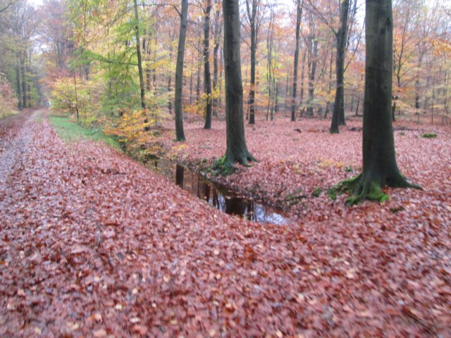 img_5147.jpg