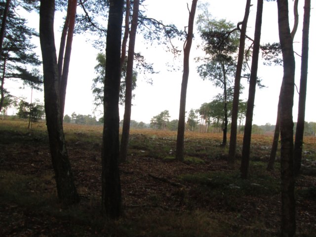 img_4506.jpg