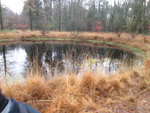 img_5440.jpg