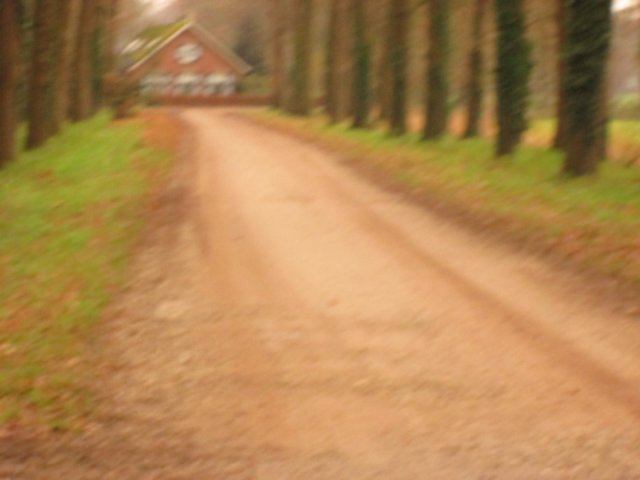 img_5450.jpg