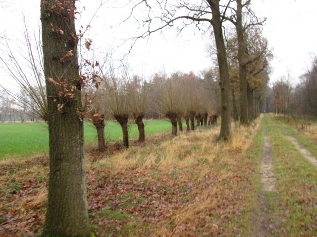 img_5465.jpg