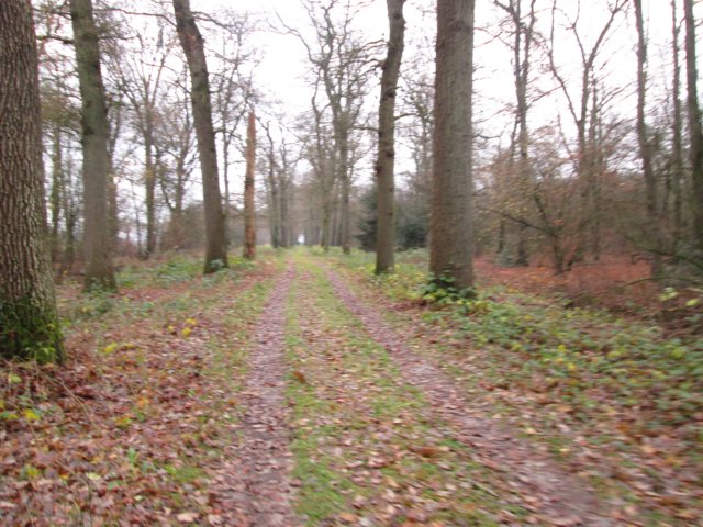 img_5466.jpg