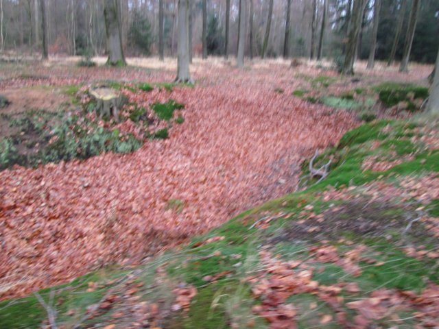 img_5483.jpg
