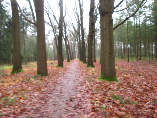 img_5486.jpg