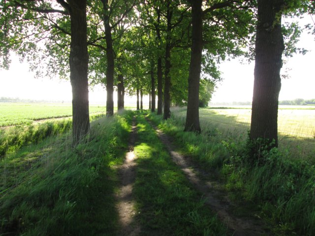 img_1884.jpg