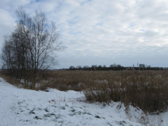 img_8360.jpg