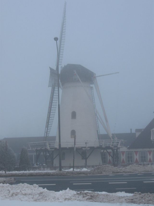 img_8460.jpg