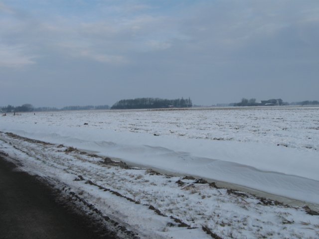 img_8624.jpg