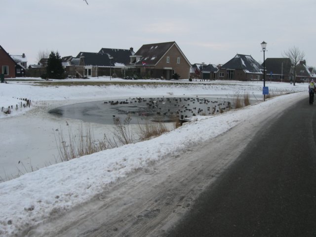 img_8635.jpg
