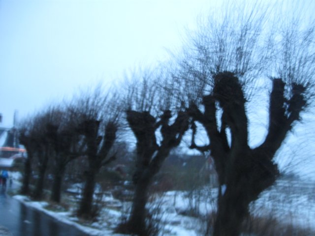 img_8705.jpg