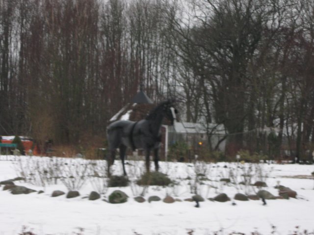 img_8726.jpg