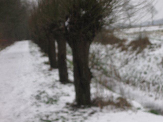 img_8727.jpg