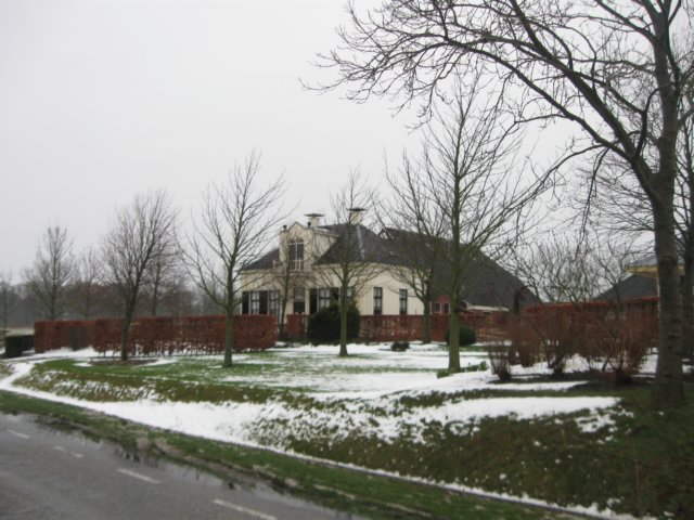 img_8729.jpg