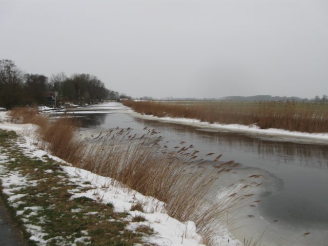 img_8731.jpg