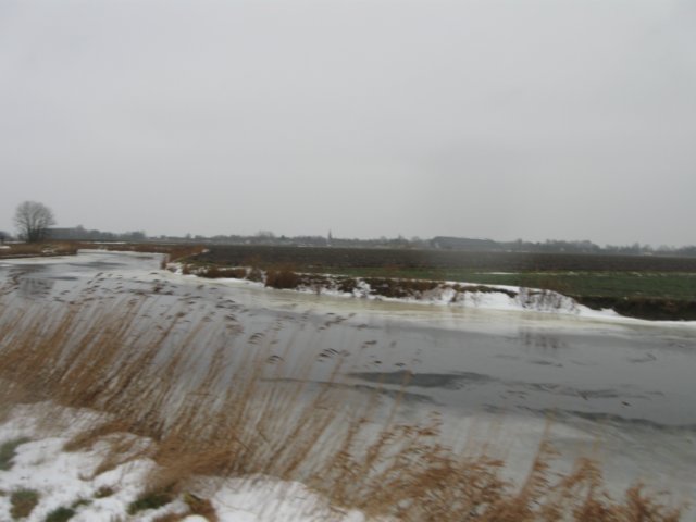 img_8739.jpg