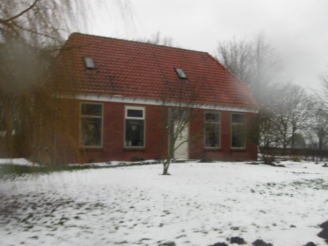 img_8781.jpg
