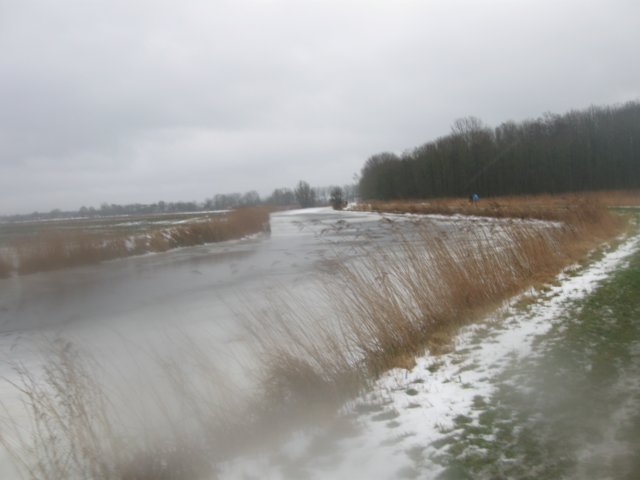 img_8786.jpg