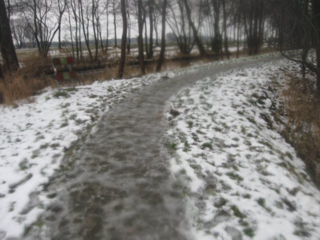 img_8800.jpg