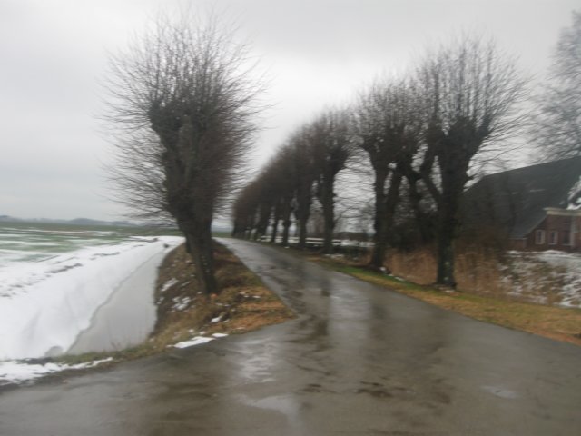 img_8808.jpg
