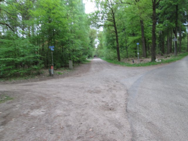 img_1341.jpg