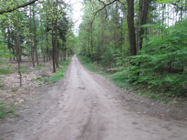 img_1342.jpg