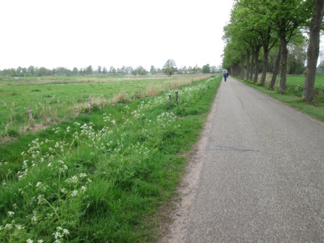 img_1350.jpg