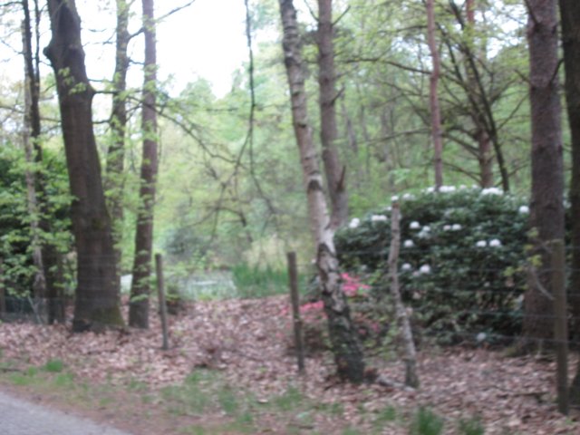 img_1358.jpg