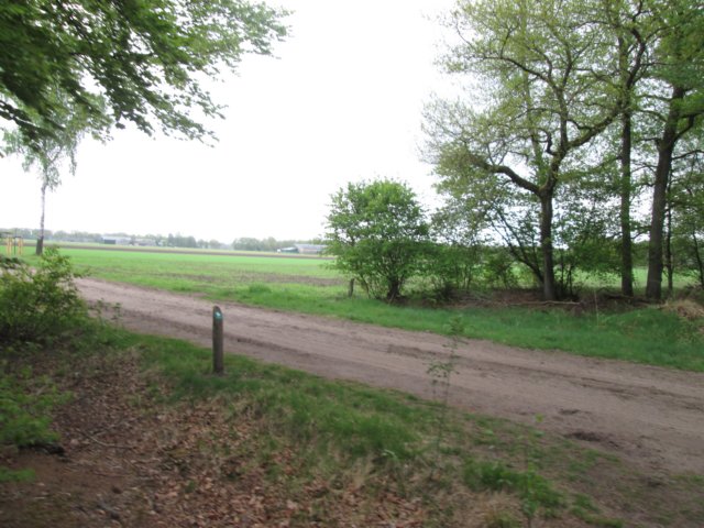 img_1370.jpg