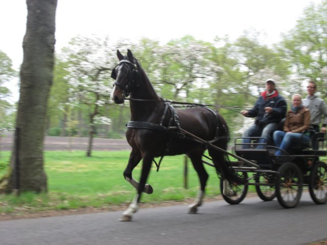 img_1373.jpg