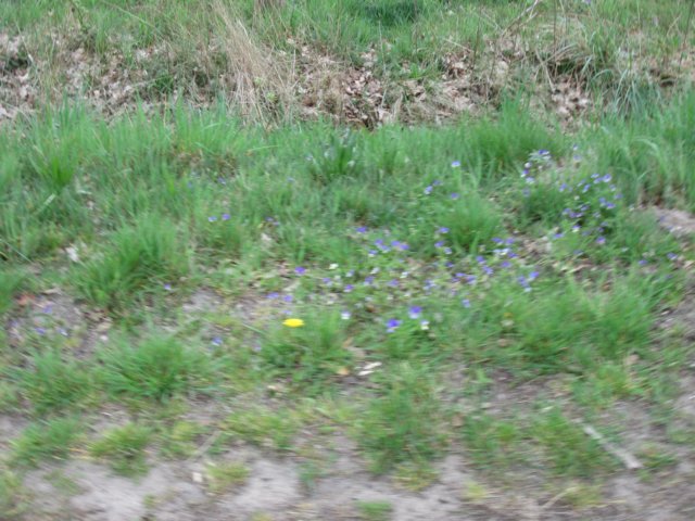 img_1375.jpg