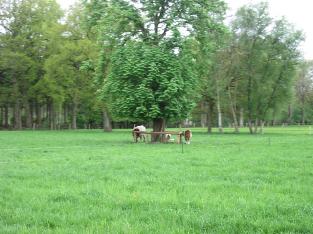 img_1377.jpg