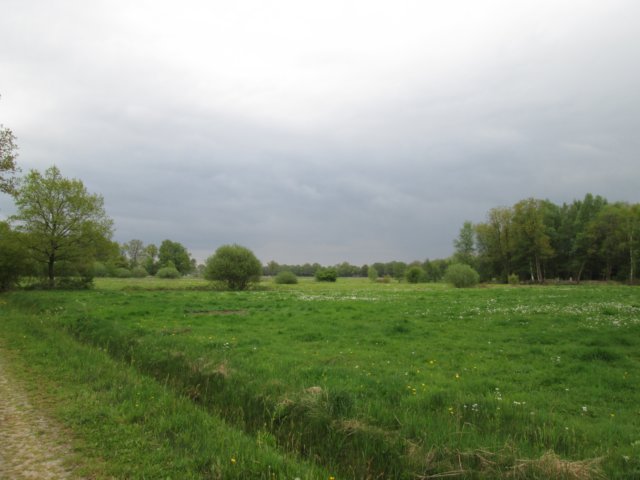 img_1379.jpg