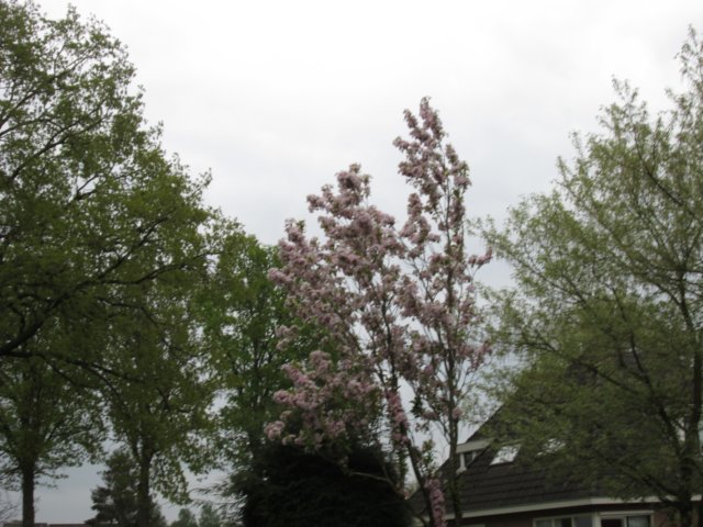 img_1384.jpg