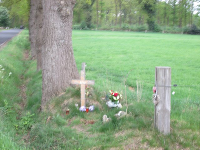 img_1386.jpg