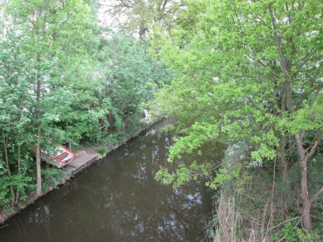img_1389.jpg