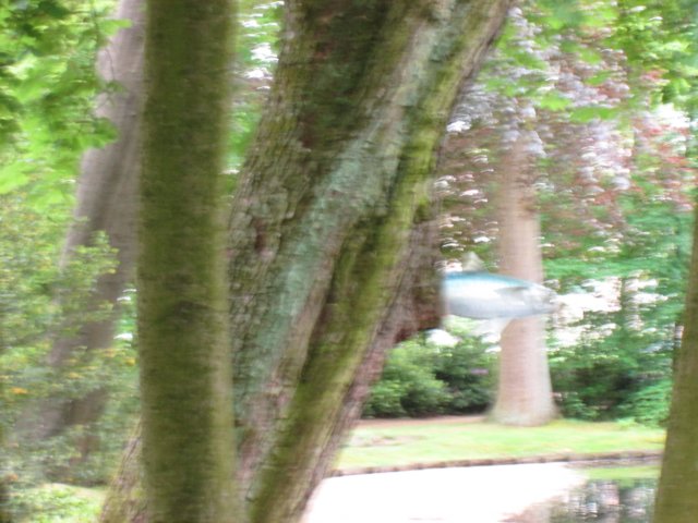 img_1794.jpg